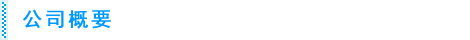 公司概要