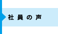 社員の声